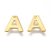 304 Stainless Steel Charms LS-X-STAS-P141-A-1