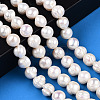 Natural Cultured Freshwater Pearl Beads Strands PEAR-N013-10F-2