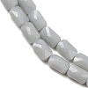 Opaque Glass Beads Strands GLAA-Z018-D19-3