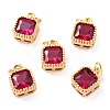 Real 18K Gold Plated Brass Inlaid Cubic Zirconia Charms LS-ZIRC-L100-073G-04-1