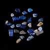 Natural Lapis Lazuli Chip Beads G-M364-10-1