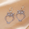 201 Stainless Steel Leverback Earrings FS-WG891C3-01-1