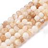 Natural Freshwater Shell Beads Strands SHEL-T011-02-6mm-1