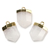 Natural Quartz Crystal Pointed Pendants G-M431-05G-01-1