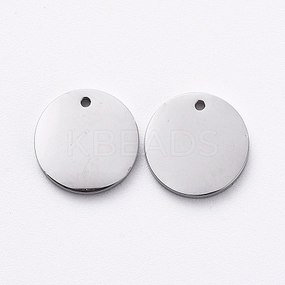 Non-Tarnish 304 Stainless Steel Stamping Blank Tag Charms LS-STAS-G215-11P-1
