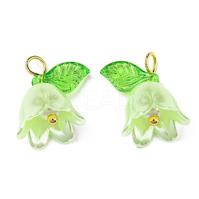 Acrylic Pendants LS-OACR-D012-01E-1