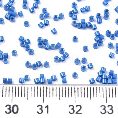 FGB 11/0 Grade A Baking Paint Glass Seed Beads SEED-S030-1042-1