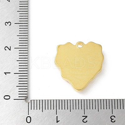 304 Stainless Steel Pendants LS-STAS-I330-029G-1