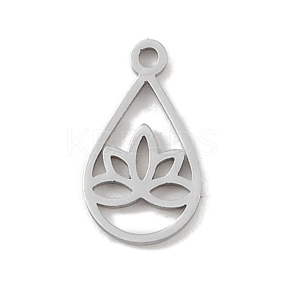 Non-Tarnish 304 Stainless Steel Charms LS-STAS-B062-04P-1