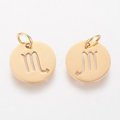 304 Stainless Steel Charms STAS-Q201-T445-8G-1