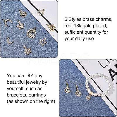12Pcs 6 Style Brass Cubic Zirconia Charms ZIRC-FH0001-36-1