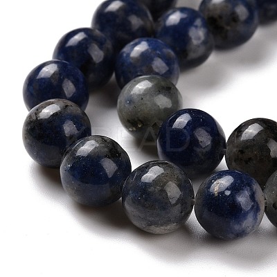 Natural Sodalite Beads Strands G-D481-12B-1