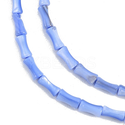 Natural Freshwater Shell Beads Strands SHEL-G013-01I-1