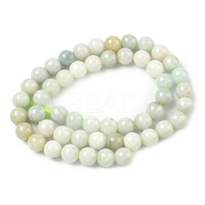 Natural Myanmar Jade/Burmese Jade Beads Strands G-K310-C05-8mm-01-1