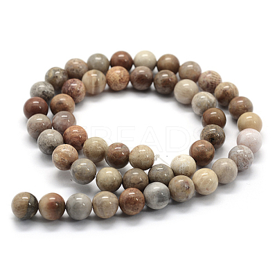 Natural Fossil Coral Beads Strands X-G-G763-12-6mm-1