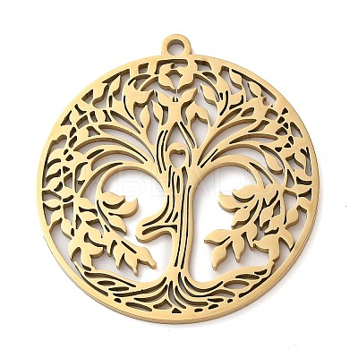 304 Stainless Steel Pendants STAS-R116-08G-1