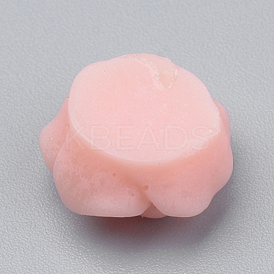 Resin Cabochons LS-CRES-Q197-29P-1