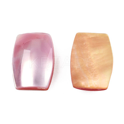 Natural Turbo Cornulus/Top Shells Cabochons SSHEL-N003-153B-1
