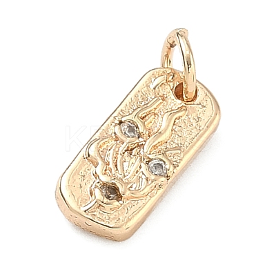 Five Elements Theme Brass Micro Pave Clear Cubic Zirconia Charms KK-F934-02D-G-1