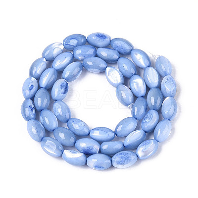 Natural Trochus Shell Beads Strands SHEL-K006-19-01A-1