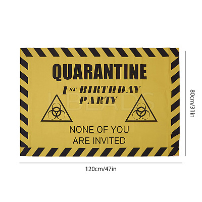 2020 Quarantine Birthday Decorations AJEW-GF0001-64B-1
