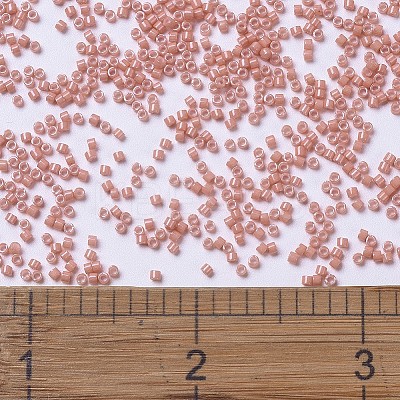 MIYUKI Delica Beads LS-X-SEED-J020-DB1363-1