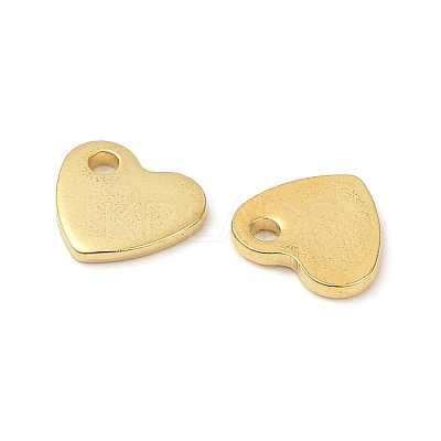 304 Stainless Steel Charms X-STAS-Q112-G-1