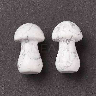 Natural Howlite GuaSha Stone G-A205-25Y-1