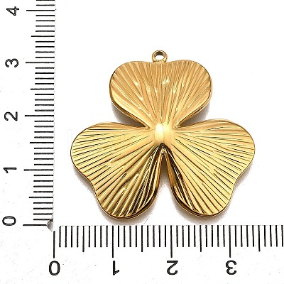 304 Stainless Steel Pendants LS-STAS-M116-34G-1
