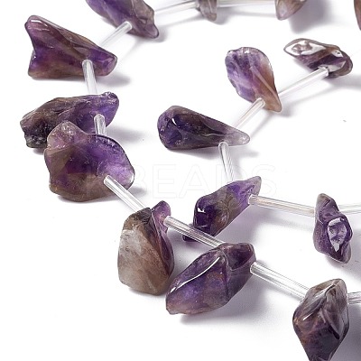 Natural Amethyst Beads Strands G-I329-02-1