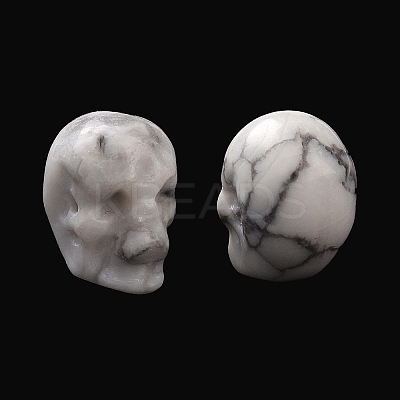 Natural Howlite Beads G-C038-01J-1