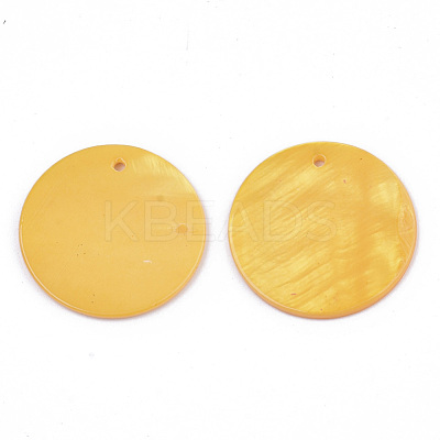 Natural Freshwater Shell Pendants SHEL-R022-01-1