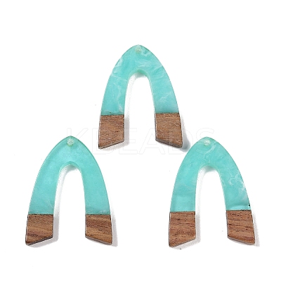 Resin & Wood Pendants WOOD-F015-16D-1