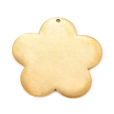 304 Stainless Steel Pendants STAS-L238-097A-G-1
