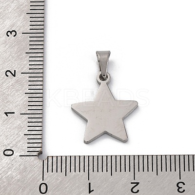304 Stainless Steel Pendants STAS-Z114-03P-02-1