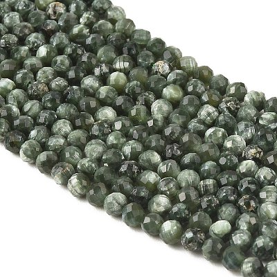 Natural Seraphinite Beads Strands G-K376-A02-2mm-1