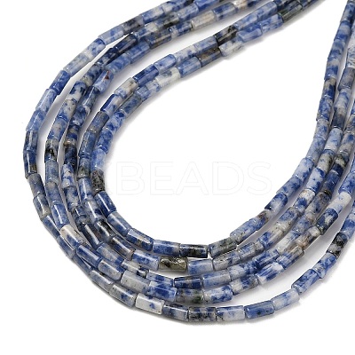 Natural Blue Spot Jasper Beads Strands G-P600-B05-01-1