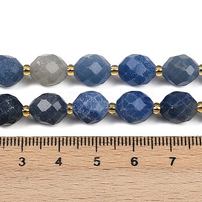 Natural Blue Aventurine(Dyed & Heated) Beads Strands G-N342-149I-12-1