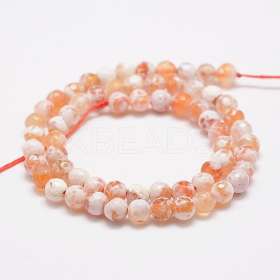 Faceted Natural Fire Crackle Agate Beads Strands X-G-F447-6mm-B03-1