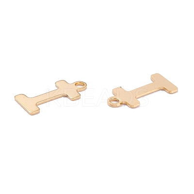 201 Stainless Steel Charms LS-STAS-C021-06G-I-1