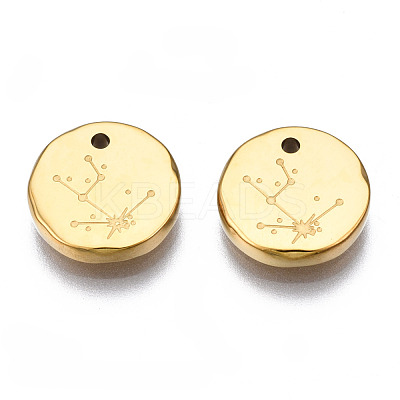 316 Surgical Stainless Steel Charms STAS-S116-418A-G-1