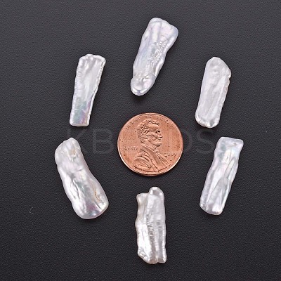 Natural Biwa Pearl Beads PEAR-N020-H01-1