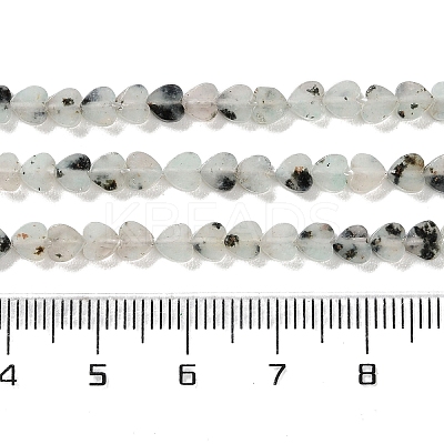 Natural Sesame Jasper Beads Strands G-M403-A40-01-1