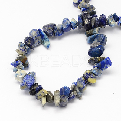 Natural Lapis Lazuli Stone Bead Strands G-R192-13-1