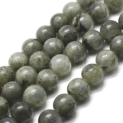 Natural Labradorite Bead Strands G-P256-01-10mm-1