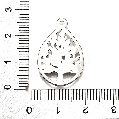 304 Stainless Steel Pendants STAS-M116-31P-1