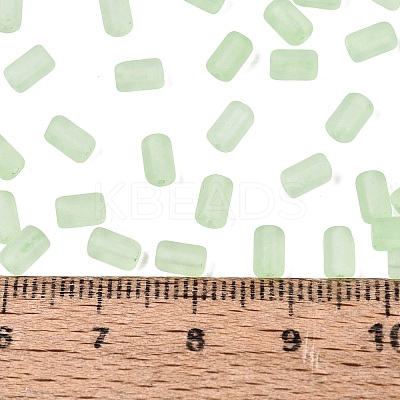 FGB Frosted Transparent Glass Seed Beads SEED-N013-05A-08-1