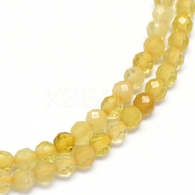 Natural Yellow Opal Beads Strands G-O180-05B-1