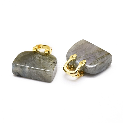 Natural Labradorite Brass Pendants KK-E274-01G-04-1