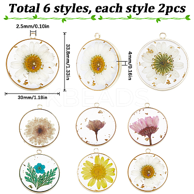 12Pcs 6 Colors Transparent Epoxy Resin Pendants RESI-SC0002-93-1